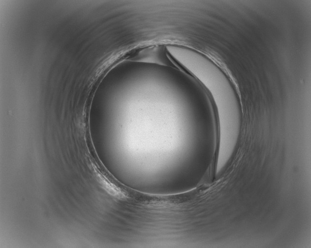 X0000080720389200701021100