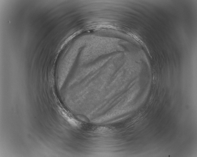 X0000080720390200701021100