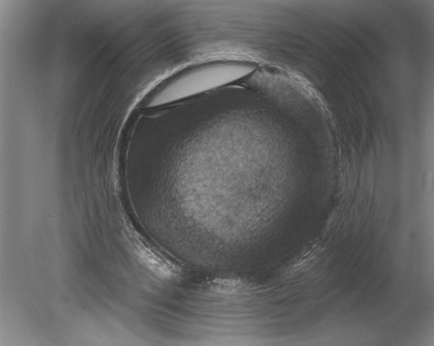 X0000080720391200701021100