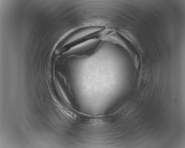 X0000080720392200701021100