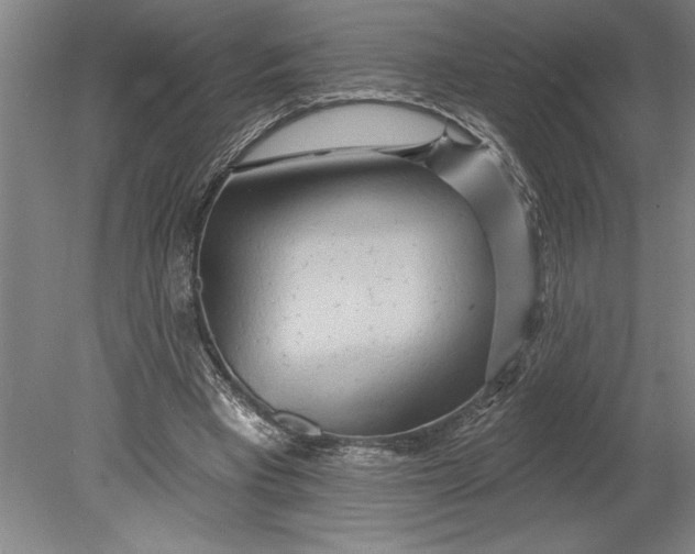 X0000080720393200701021059