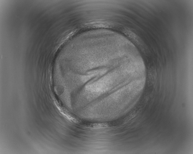 X0000080720398200701021059