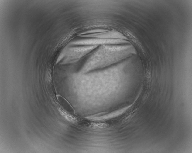 X0000080720401200701021059