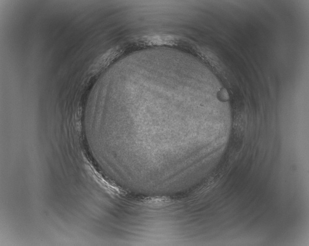 X0000080720402200701021059