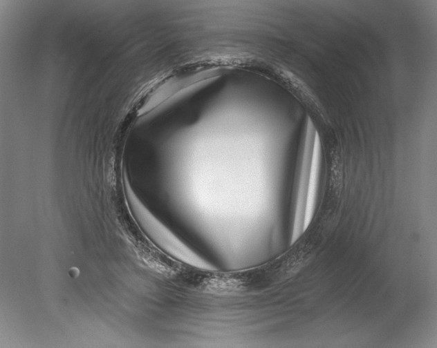 X0000080720403200701021059