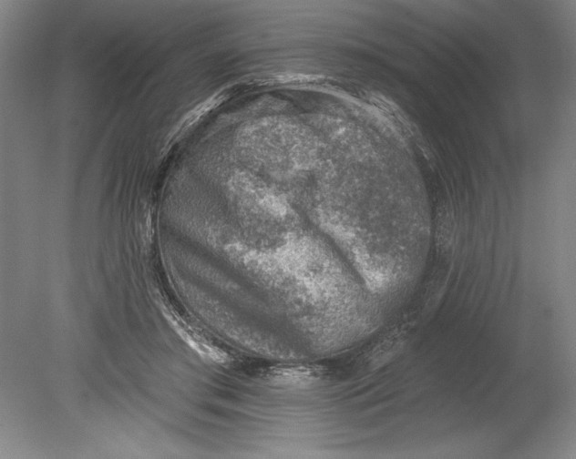 X0000080720405200701021059