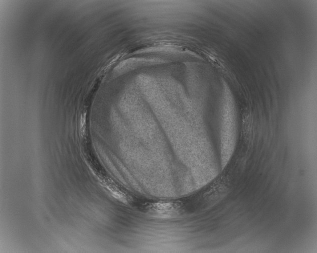 X0000080720406200701021059