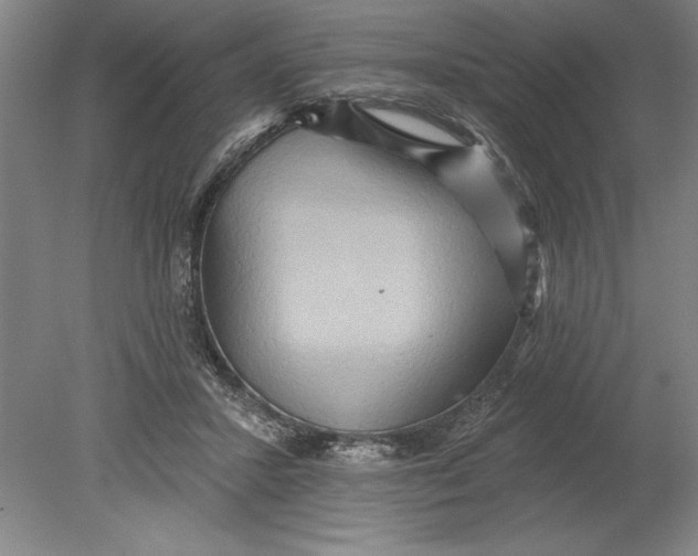 X0000080720407200701021059