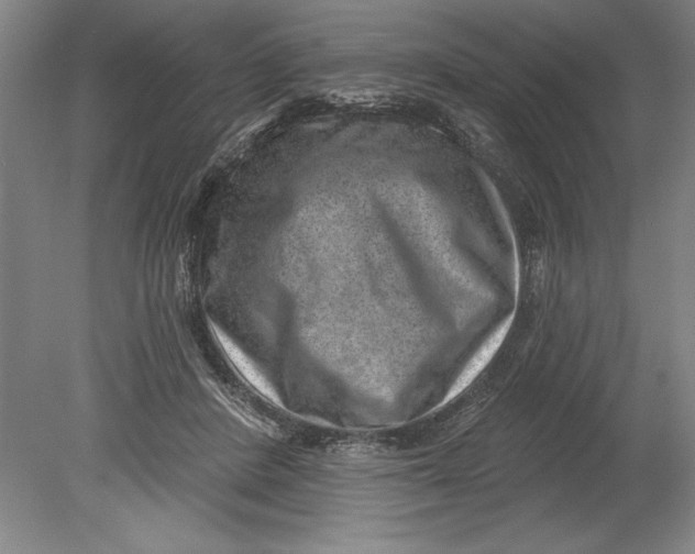 X0000080720408200701021059