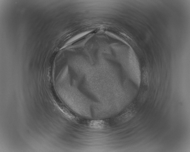 X0000080720410200701021059