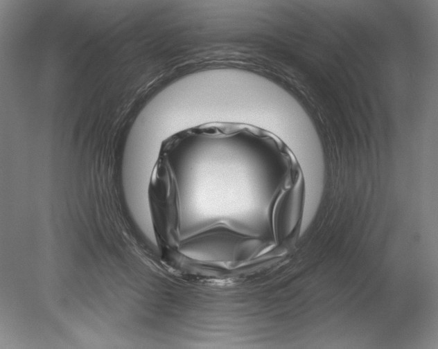 X0000080720411200701021059