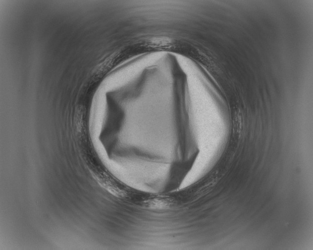 X0000080720412200701021059