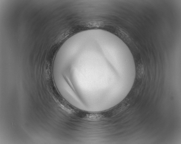 X0000080720414200701021059