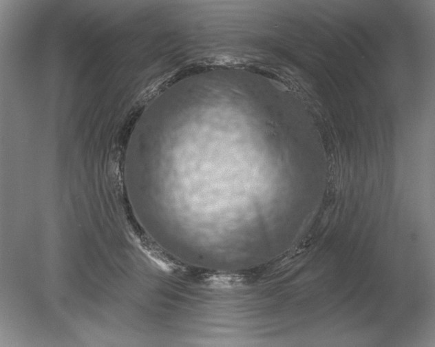 X0000080720415200701021059