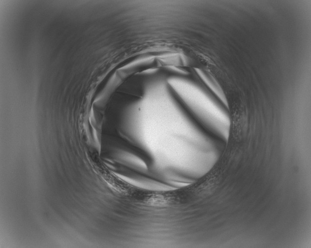 X0000080720416200701021059