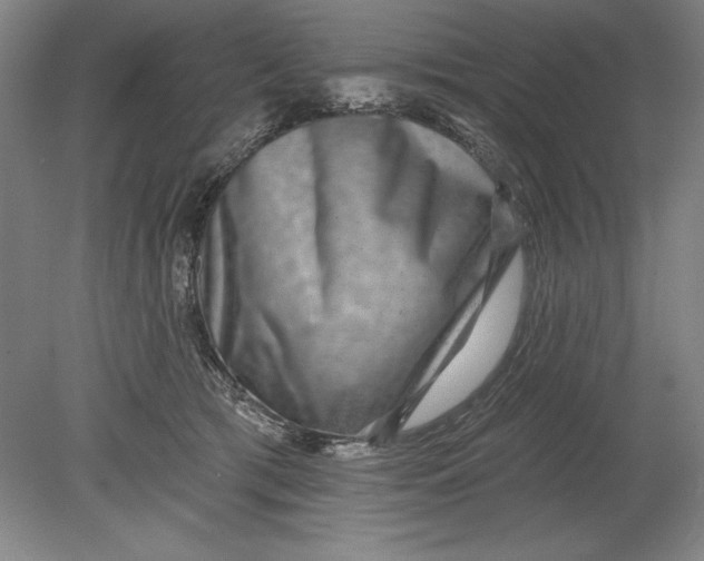 X0000080720417200701021059