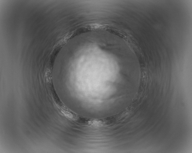 X0000080720419200701021059