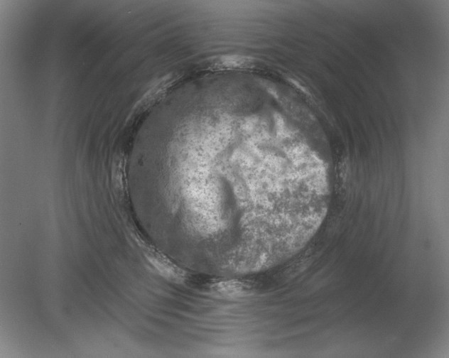 X0000080720423200701021059