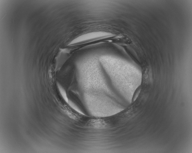 X0000080720424200701021059