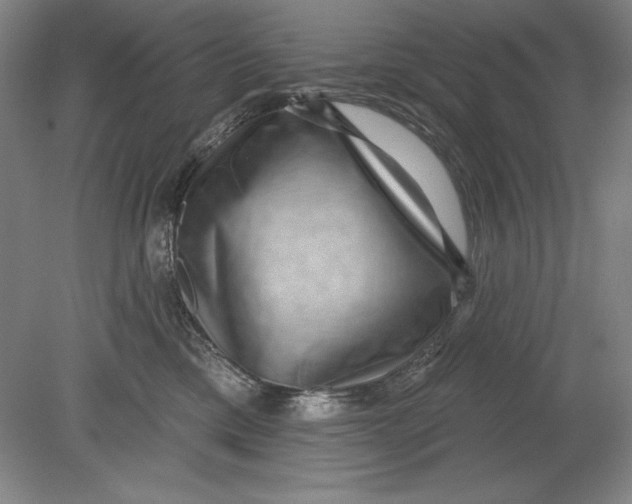 X0000080720425200701021059