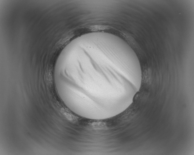 X0000080720426200701021059