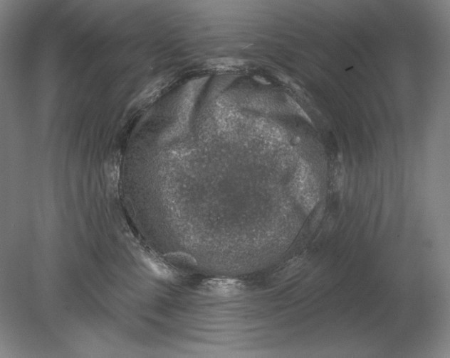 X0000080720427200701021059