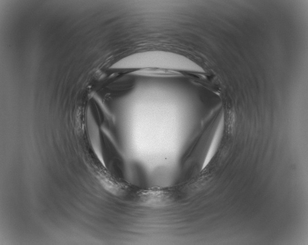 X0000080720428200701021059