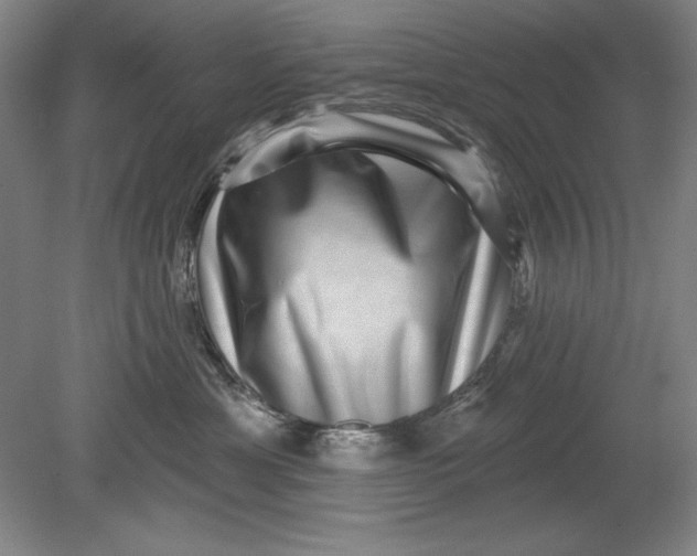 X0000080720429200701021059