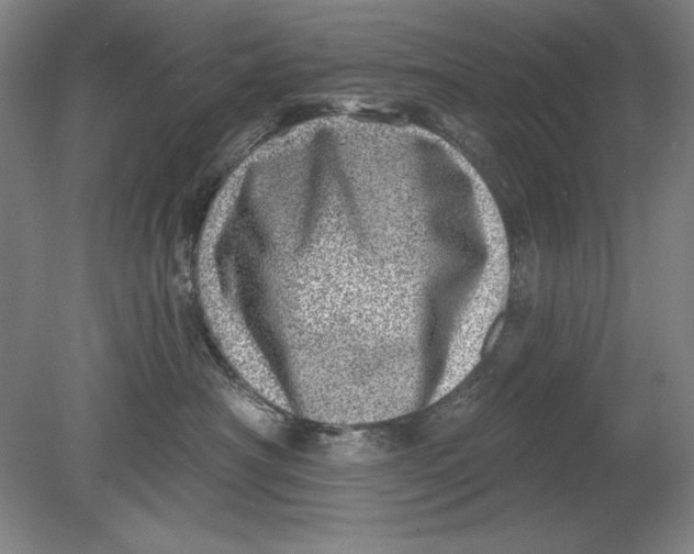 X0000080720430200701021059