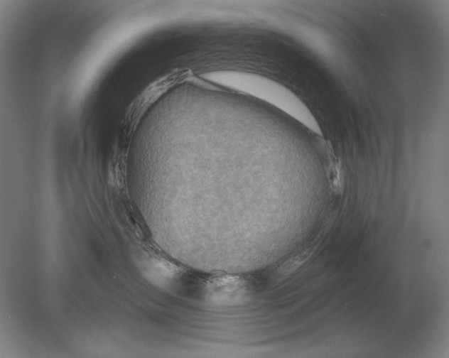 X0000080720431200701021059