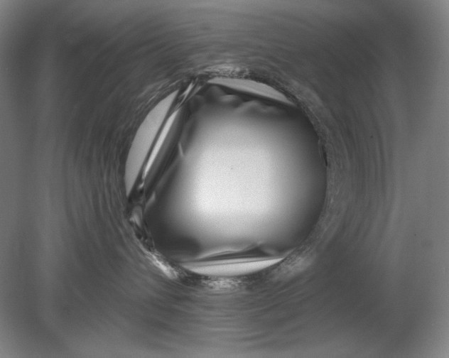 X0000080720432200701021059