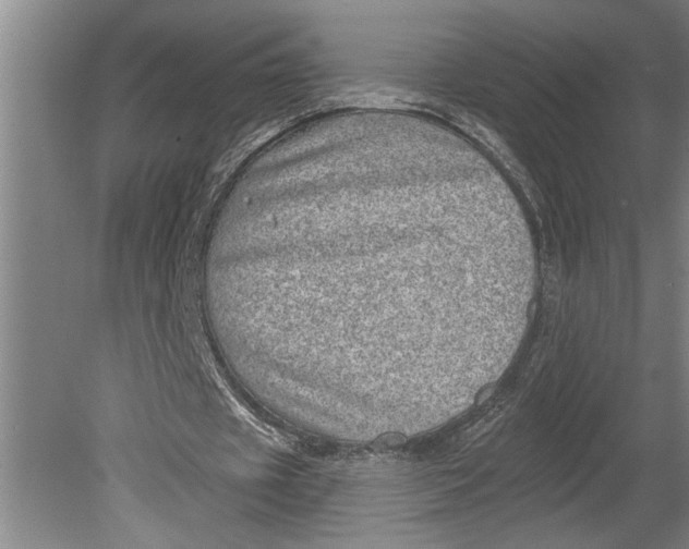 X0000080720433200701021058