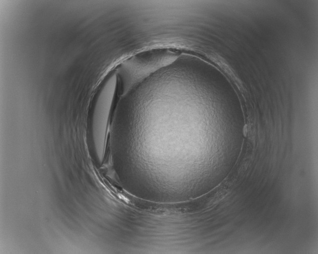 X0000080720434200701021058