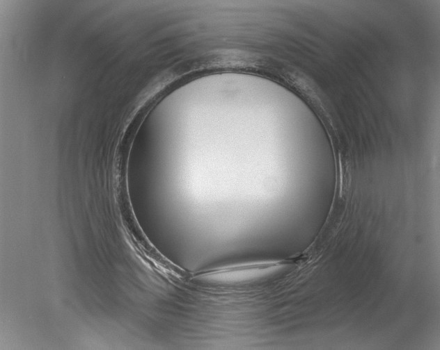 X0000080720435200701021058