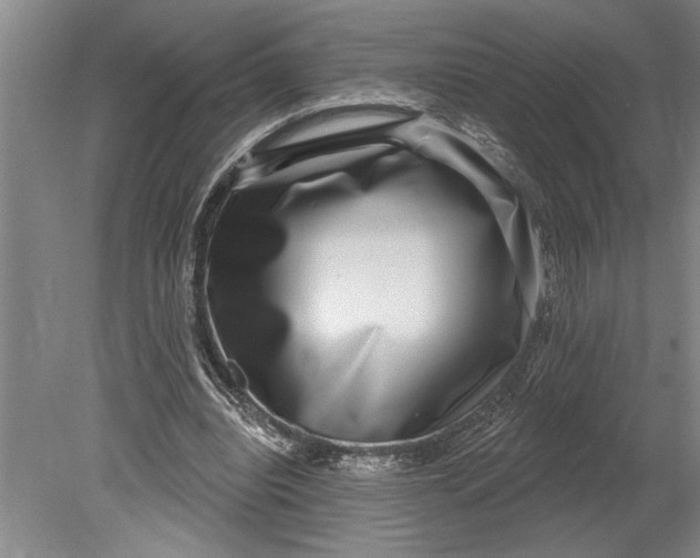 X0000080720440200701021058