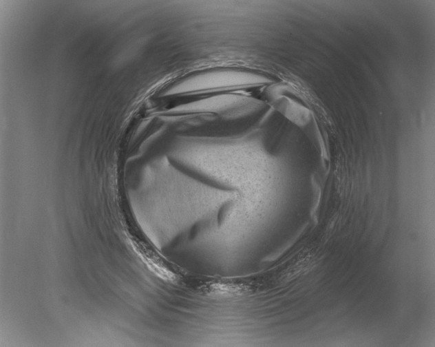 X0000080720442200701021058