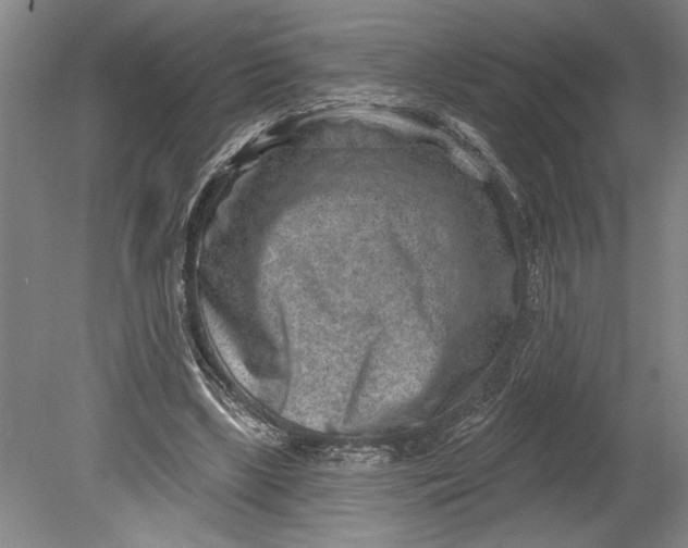 X0000080720443200701021058