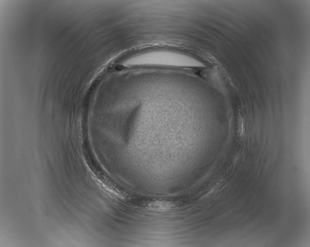 X0000080720444200701021058