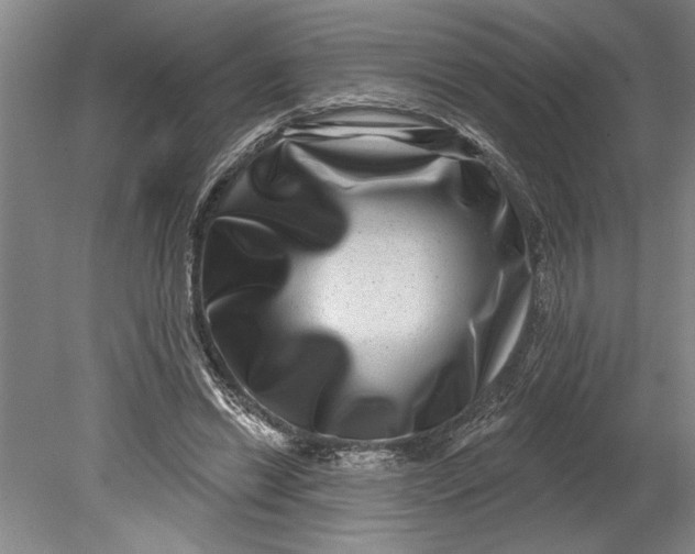 X0000080720446200701021058