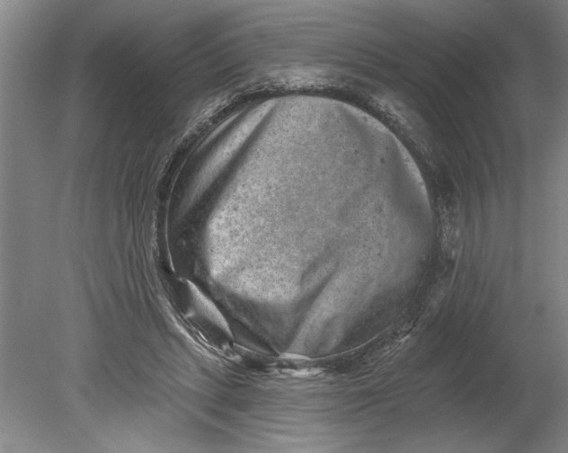 X0000080720447200701021058