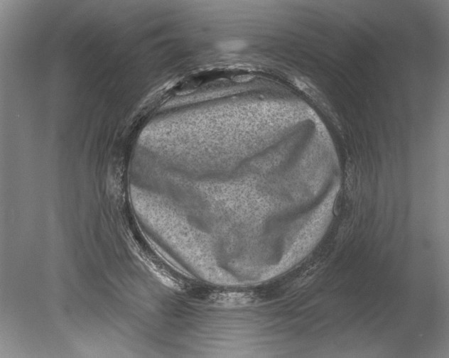 X0000080720449200701021058