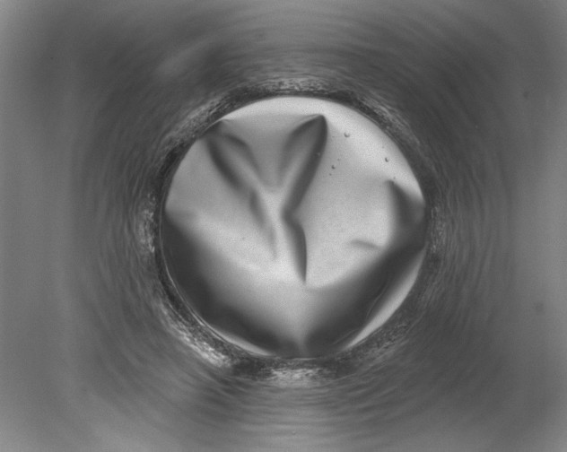 X0000080720450200701021058