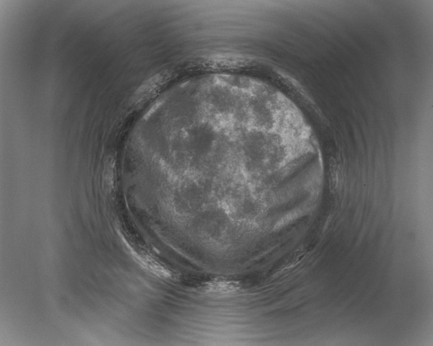 X0000080720451200701021058