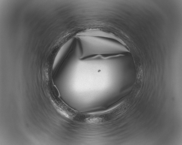 X0000080720452200701021058