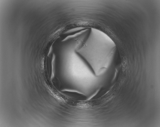 X0000080720454200701021058