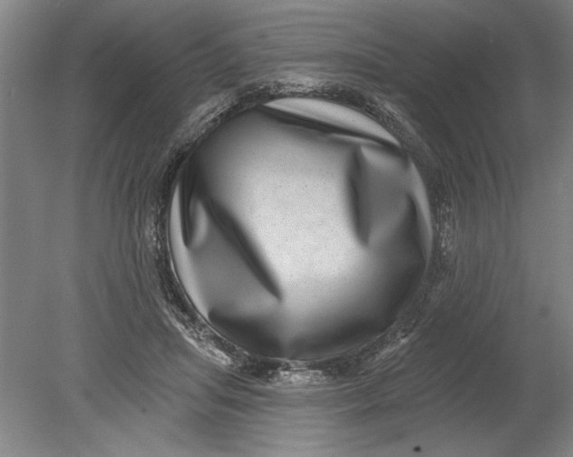 X0000080720455200701021058