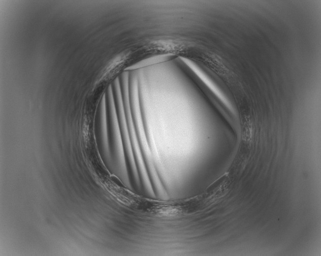 X0000080720456200701021058