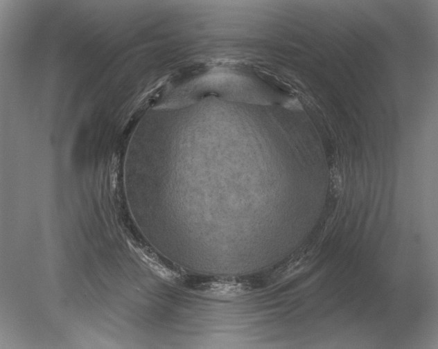 X0000080720458200701021058