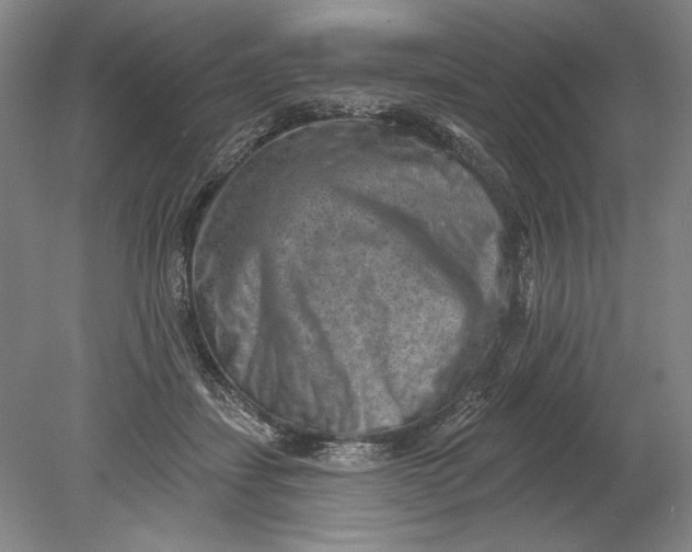 X0000080720459200701021058