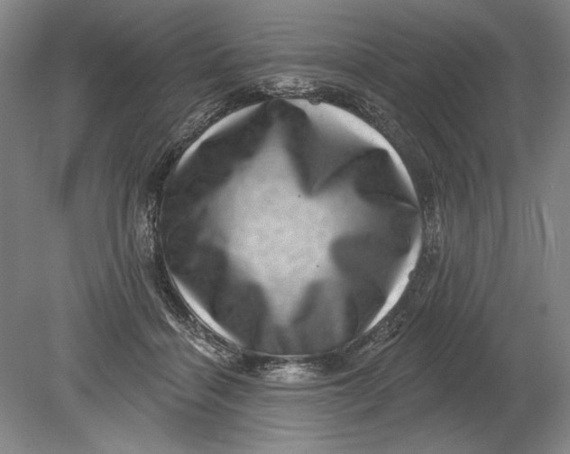 X0000080720460200701021058